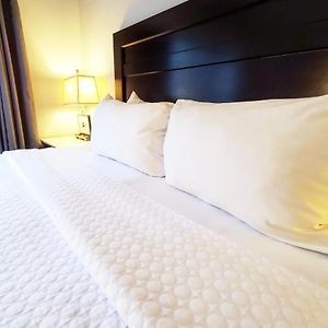 One-Bedroom Suite Sofa Bed